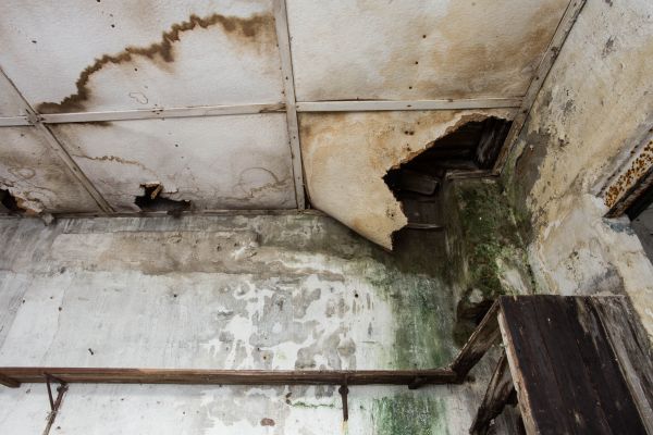 Water Damage Service in Wesley Chapel