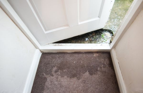 Wet Carpet Restoration in Wesley Chapel