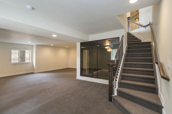 Cost of Basement Restoration Service in Wesley Chapel
