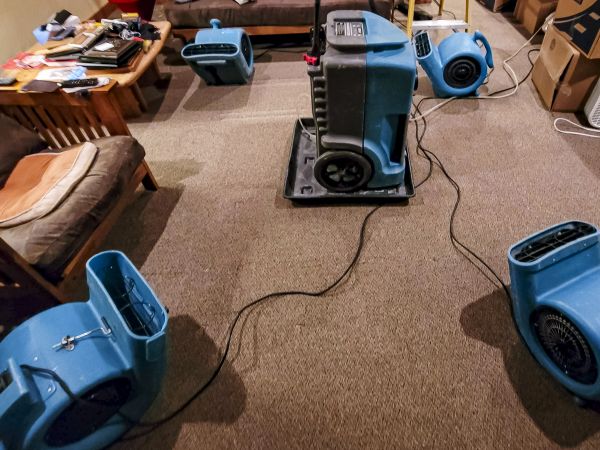 Cost of Flood Damage Recovery in Wesley Chapel
