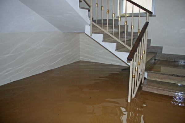 Storm Damage Restoration in Wesley Chapel