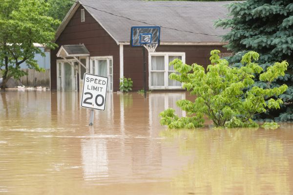 Cost of Storm Restoration Service in Wesley Chapel