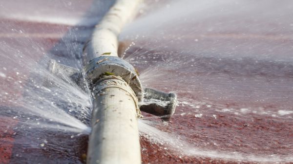 Burst Pipe Cleanup in Wesley Chapel