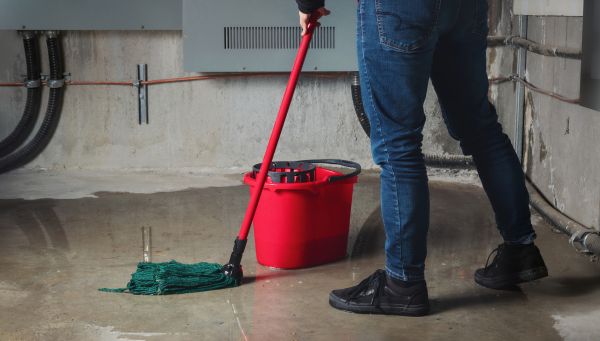 Cost of Flooded Basement Cleanup in Wesley Chapel