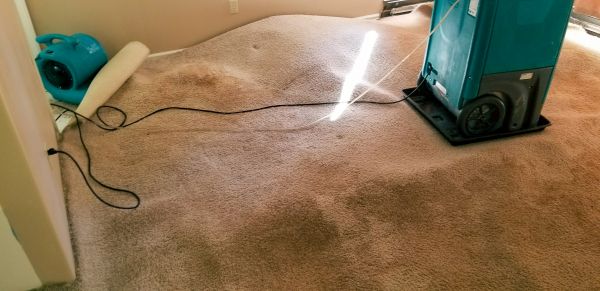 Flood Damage Cleanup in Wesley Chapel