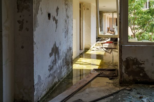 Water Removal Service in Wesley Chapel