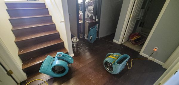 Water Damage Remediation in Wesley Chapel