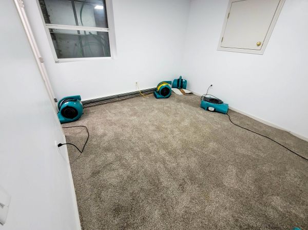 Flood Restoration Service in Wesley Chapel