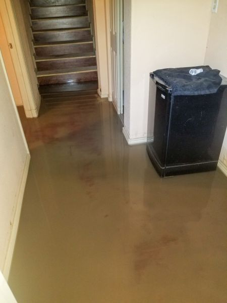 Emergency Water Removal in Wesley Chapel