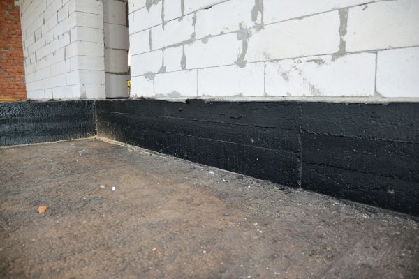 Cost of Basement Water Damage Service in Wesley Chapel