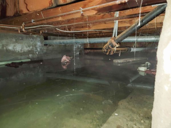 Cost of Crawl Space Drying in Wesley Chapel