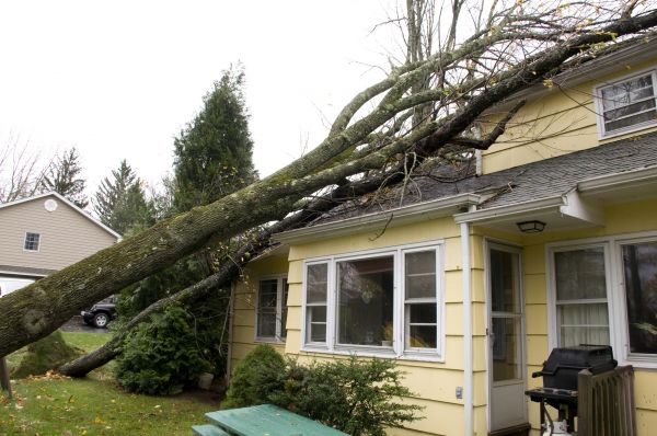 Hurricane Damage Repair in Wesley Chapel