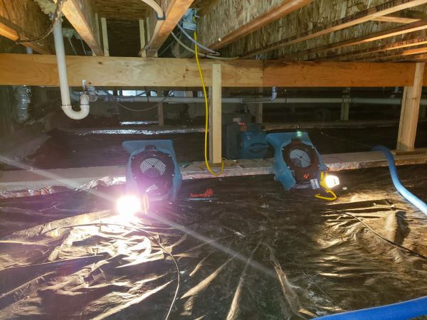 Crawlspace Water Removal in Wesley Chapel
