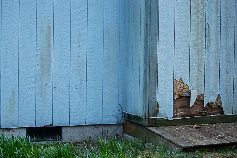 Siding Replacement Services